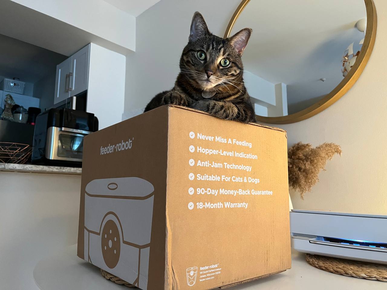 My cat in the Feeder Robot box with written features of the feeder