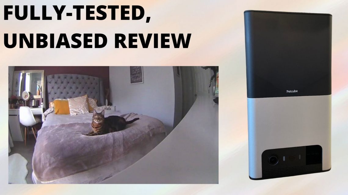 Petcube camera review featured image