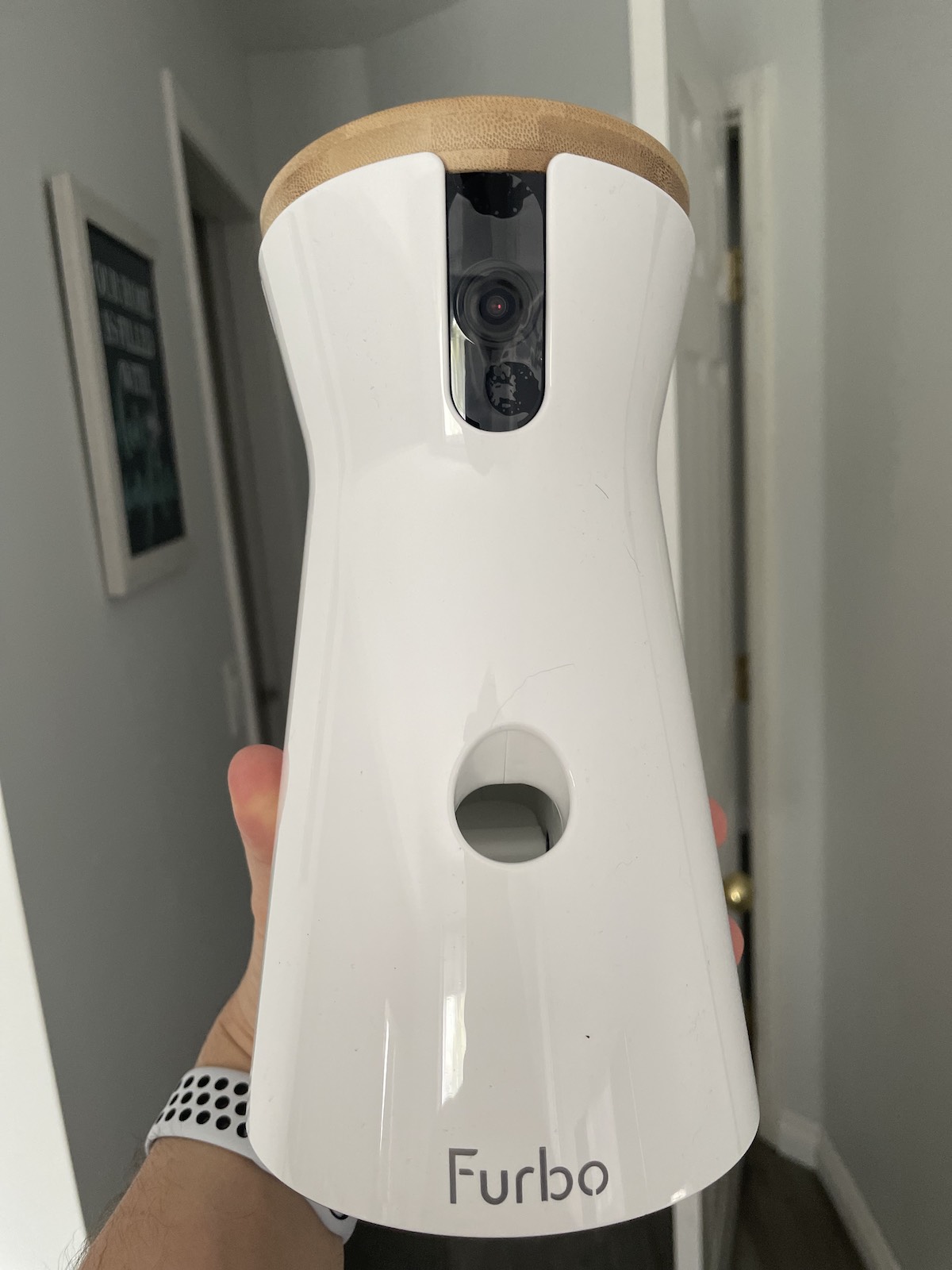 Furbo camera for cats