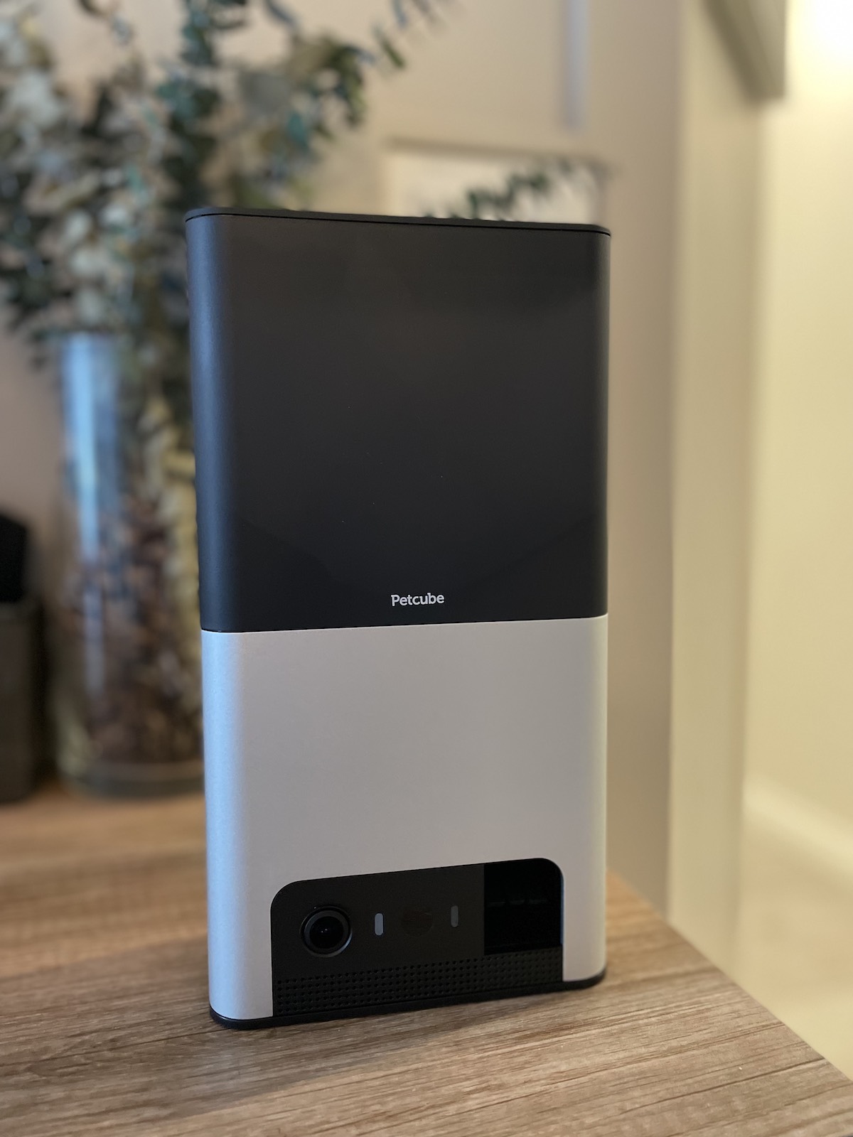 Petcube Bites camera on my TV stand