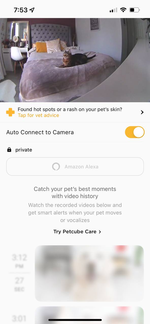 Petcube camera app