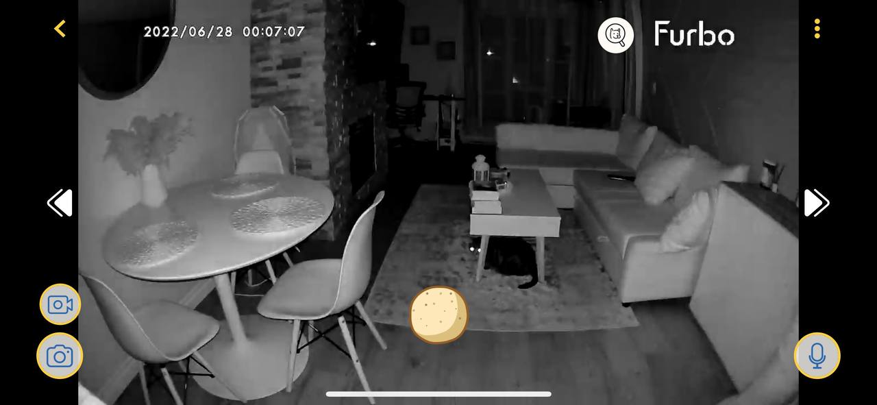 Night vision on Furbo camera with my cat on it