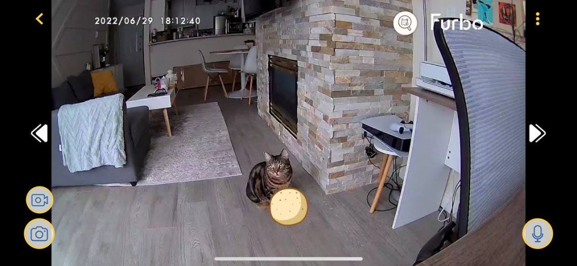 Interactive elements on cat camera via app