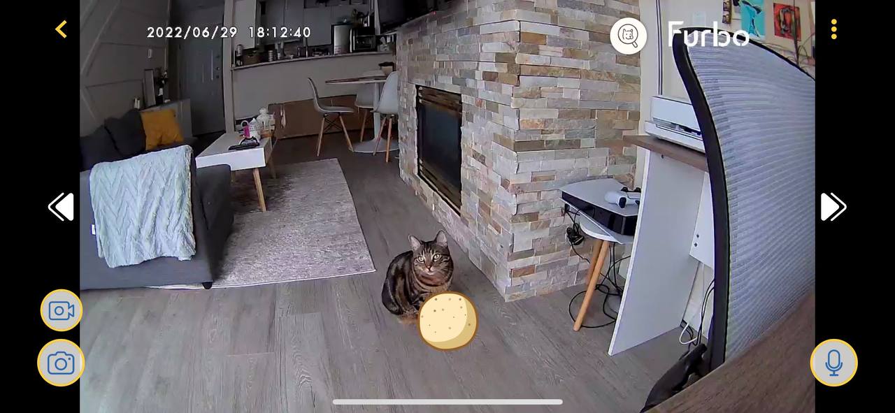 Interactive elements on cat camera via app