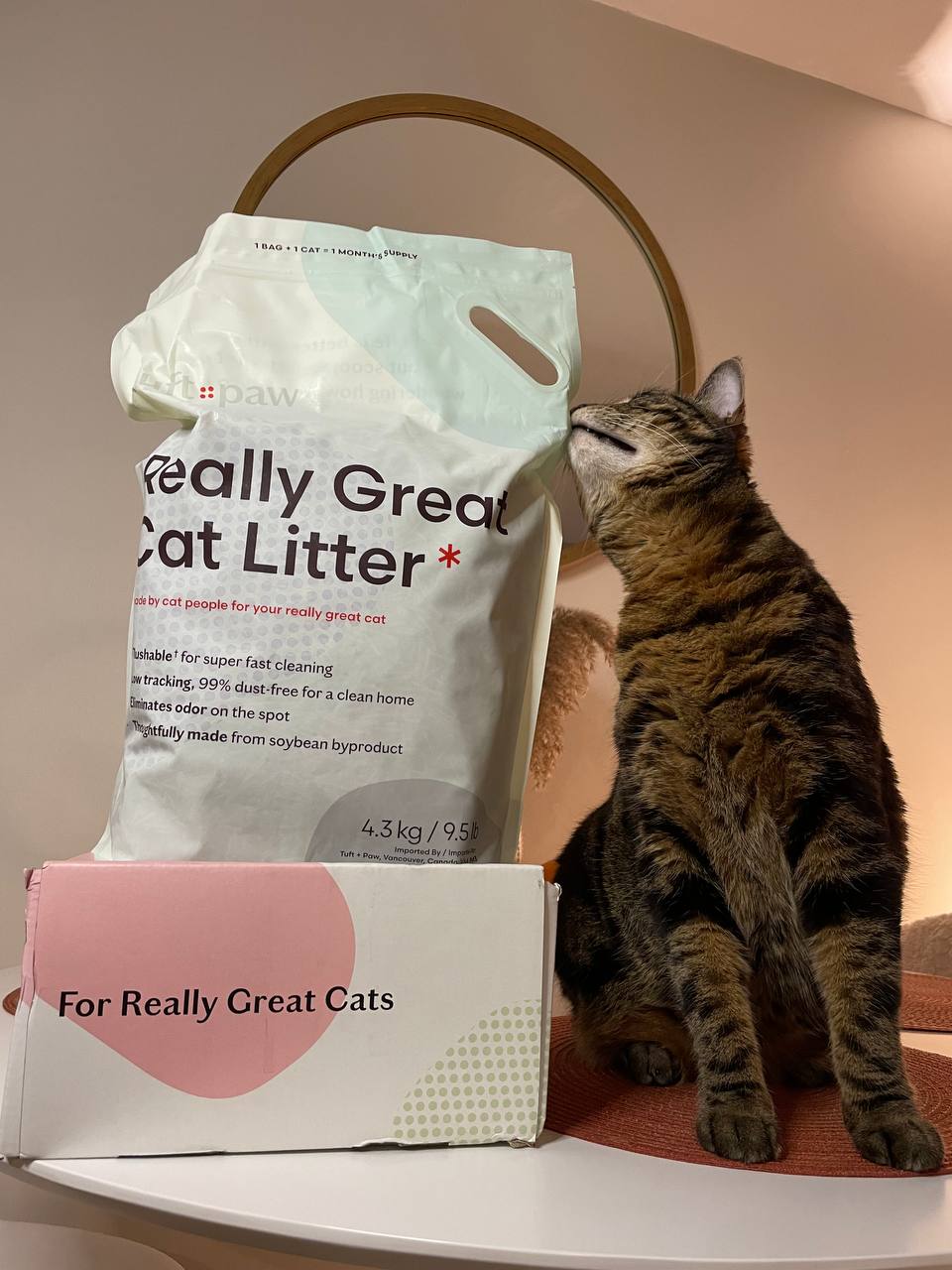 My cat tries to open Really Great Cat Litter from Tuft + Paw packaging