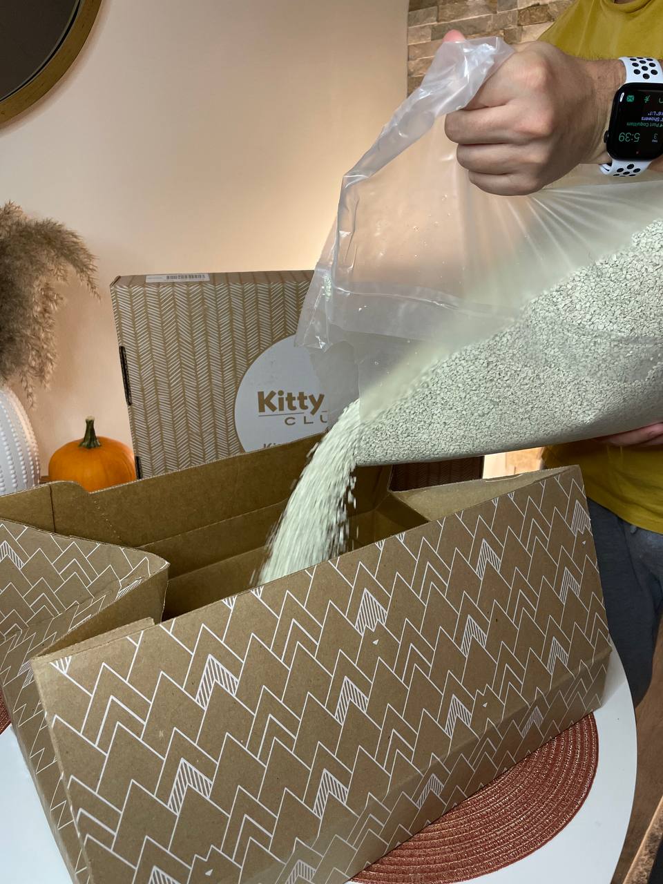 Adding cat litter to Kitty Poo Club litter box