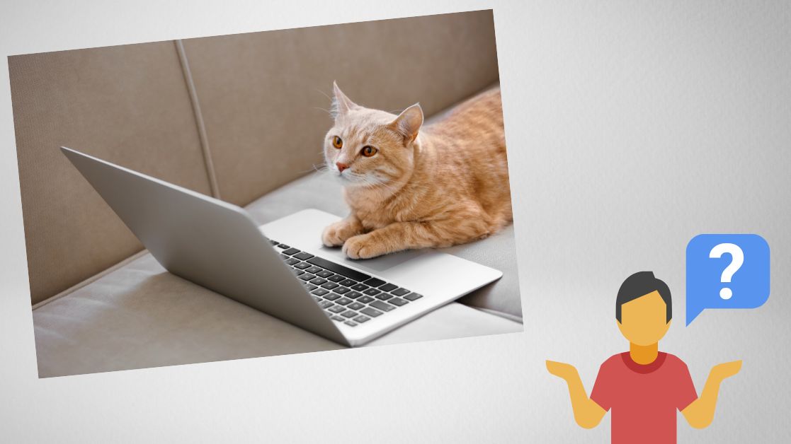 A person is confused why his cat in sitting on the laptop