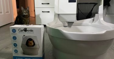 My cat near Cat Genie AI self-flushing litter box