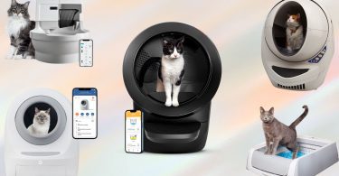 Best self cleaning litter boxes in 2023