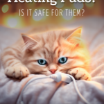 Is it safe for cats to use heating pads