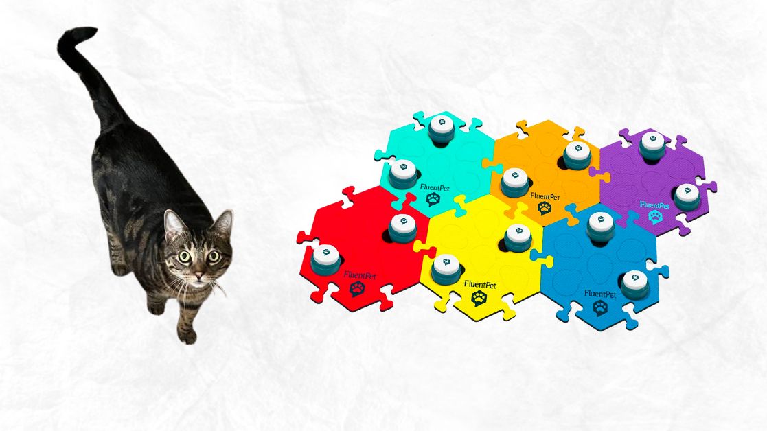 Communicating with my pet via FluentPet talking buttons