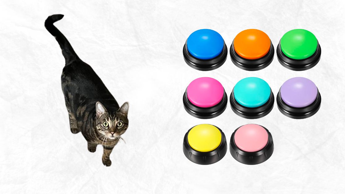 My cat is using Deekin Cat Communication Buttons