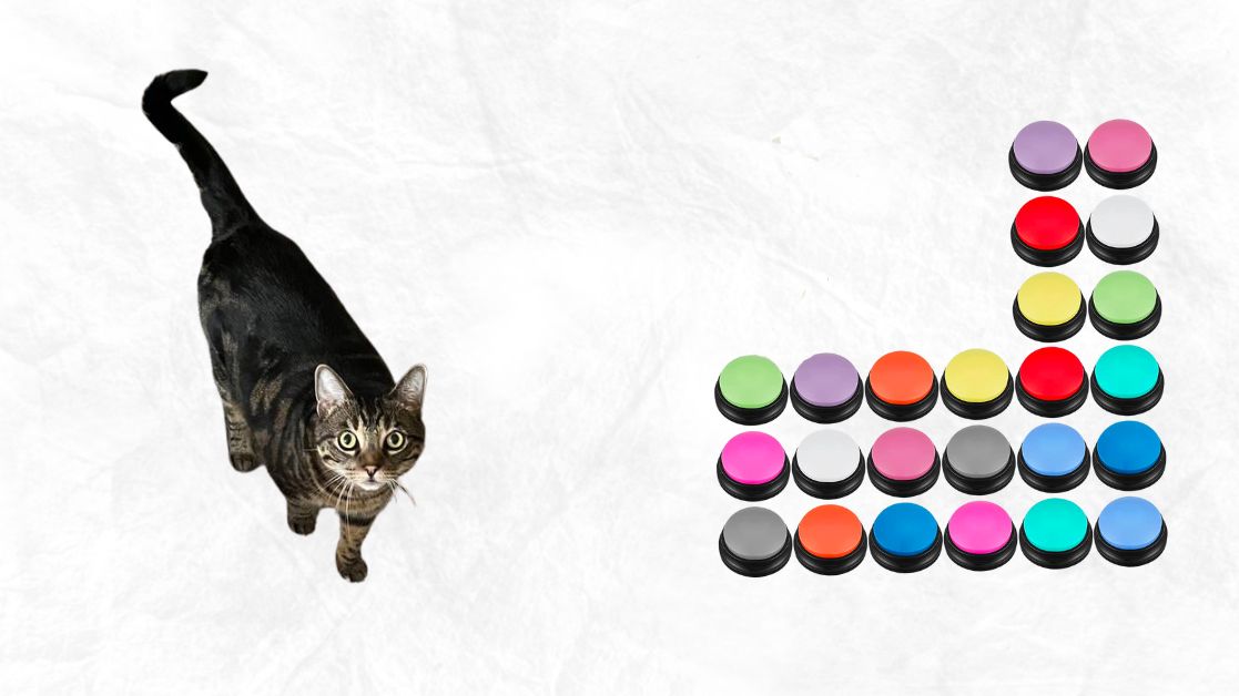 My cat is confused with Jexine Cat Training Buttons for Communication