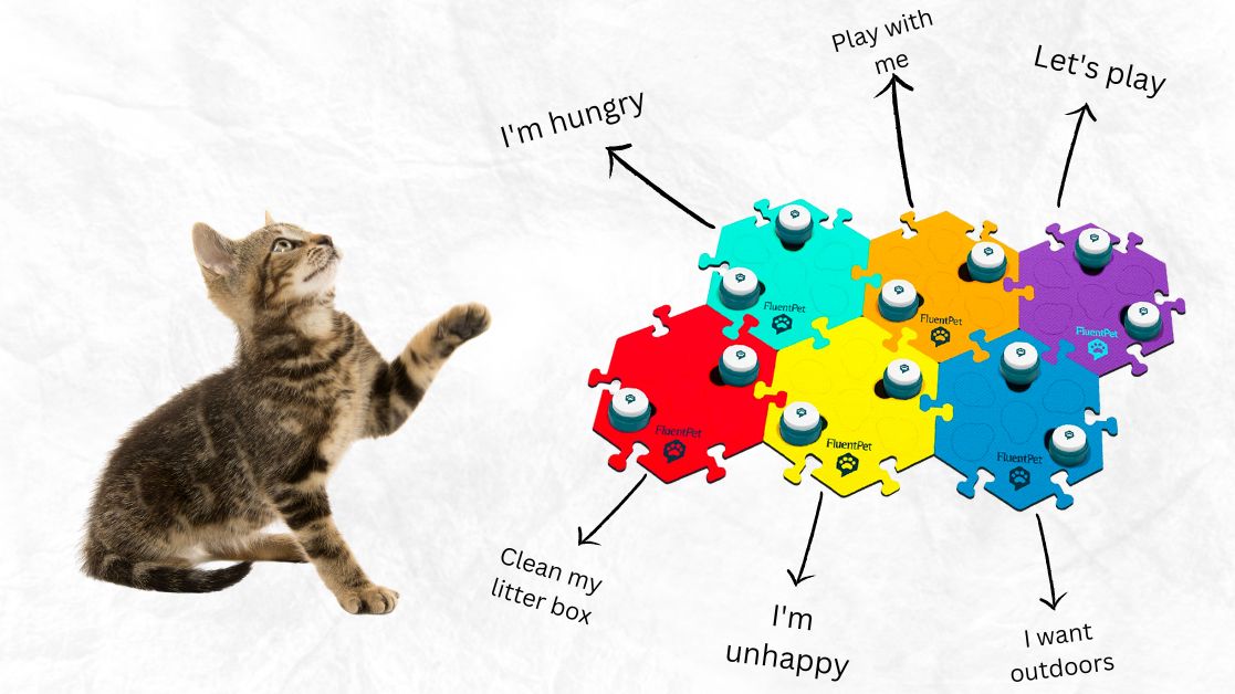 Showing how to use cat talking buttons with different commands