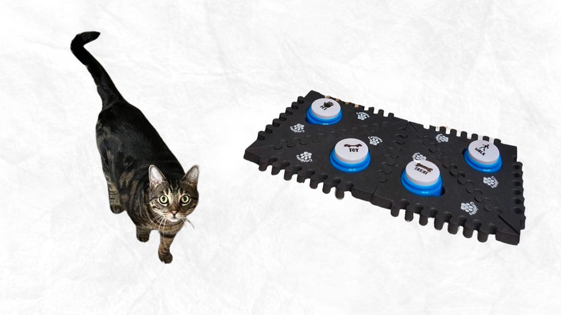 Testing Genipaws Cat Talking Buttons on my cat