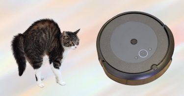cat is scared of roomba robot vacuum