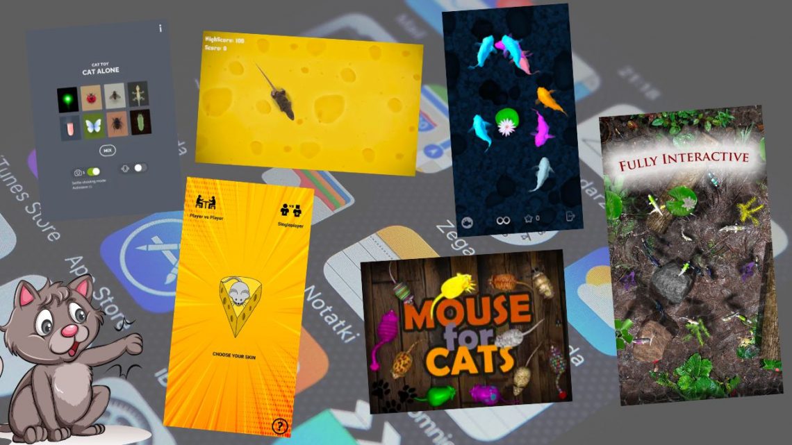 different ipad apps for cats