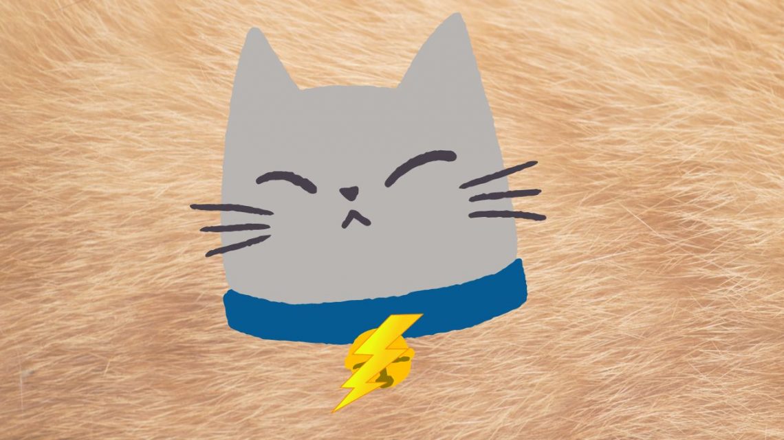 Cat with shock collar on it