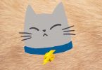 Cat with shock collar on it