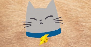 Cat with shock collar on it