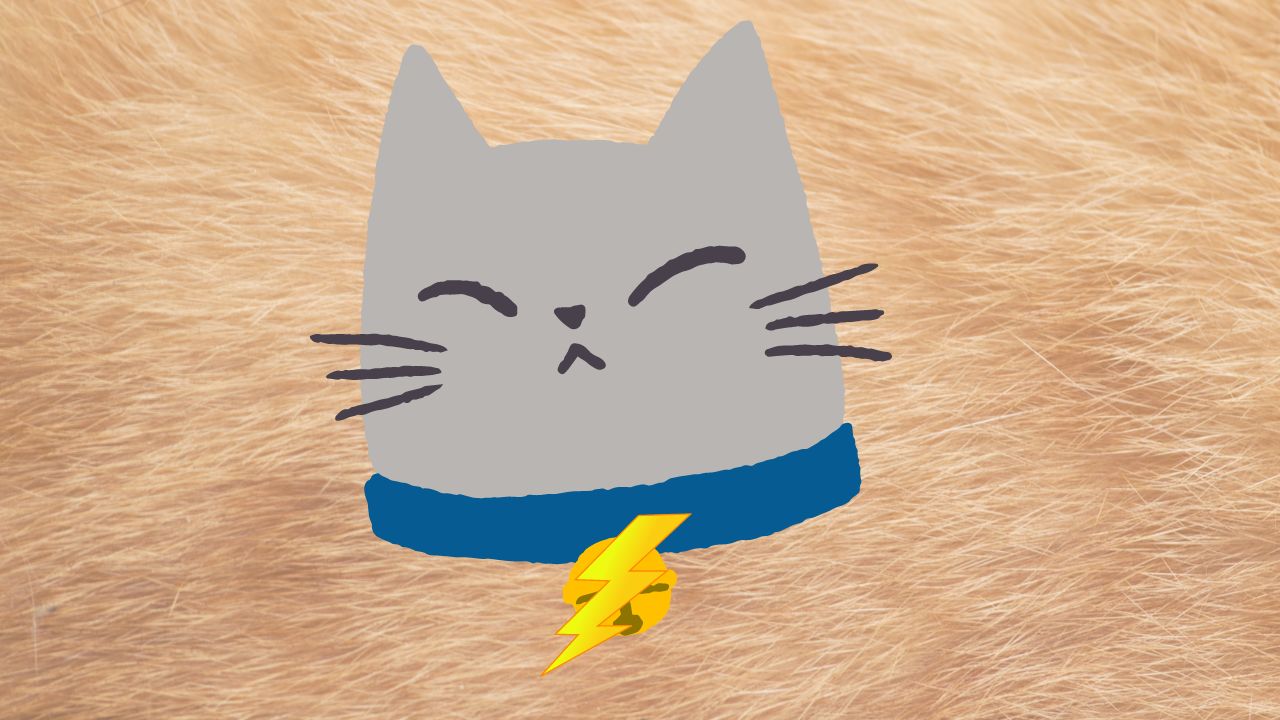 Cat with shock collar on it