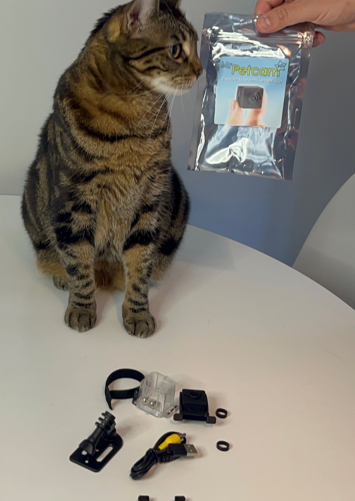 Unpacking mr. pet cam