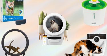best cat gadgets for cats