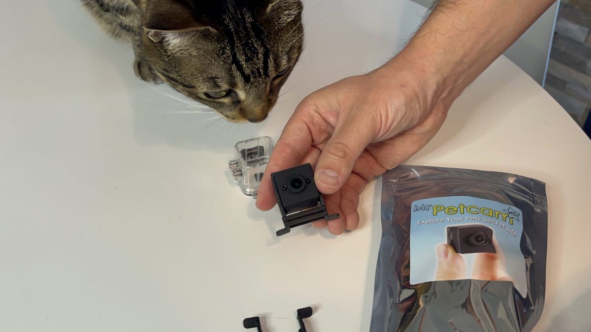 my cat is sniffing mr. pet cam cat collar camera