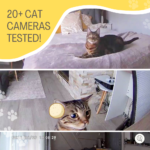 TOP 6 Cat Cameras With Interactive Features