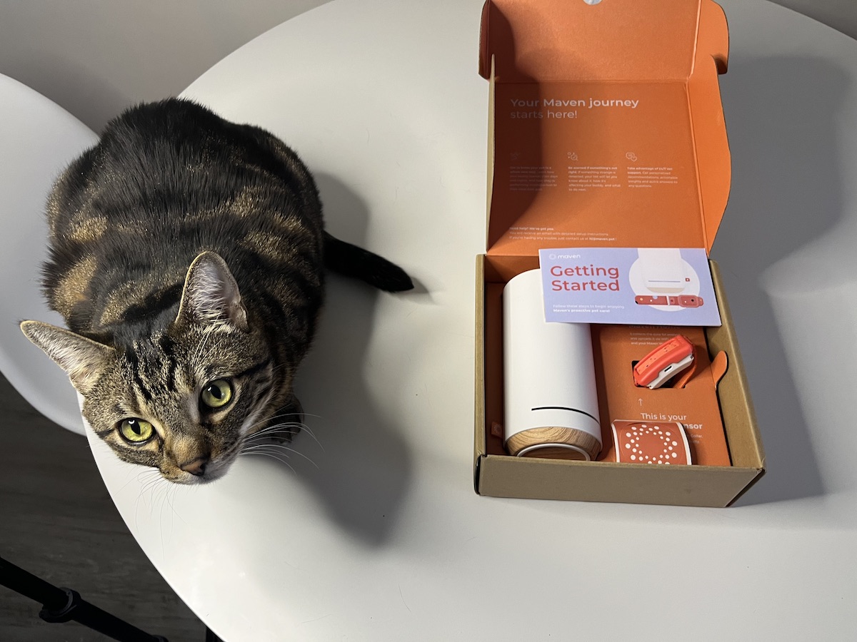 Unboxing Maven collar