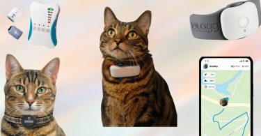 Best cat GPS trackers in 2023