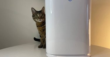 Okaysou air purifier review featured image with my cat behind