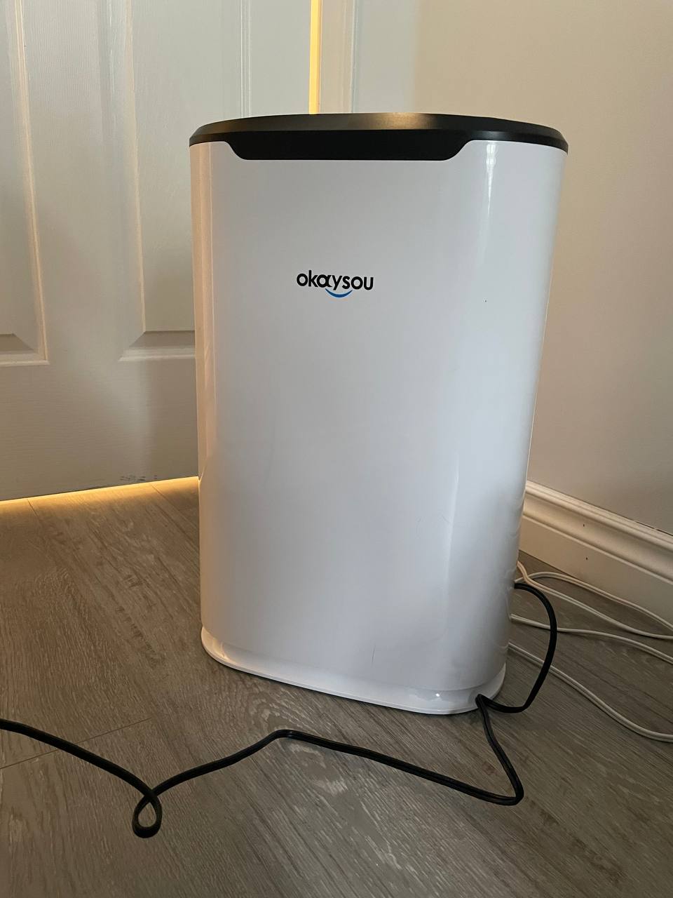 Testing Okaysou Air Purifier