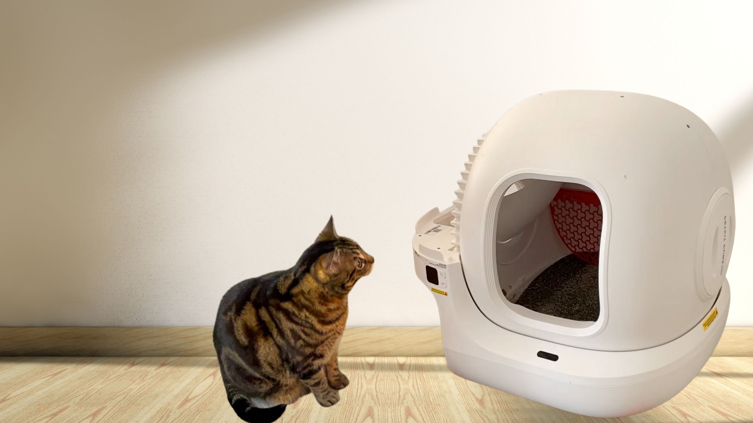 My cat is exploring Petkit self cleaning litter box