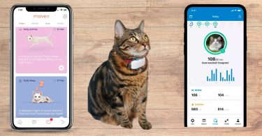 My cat wearing a smart collar with app stats on the sides