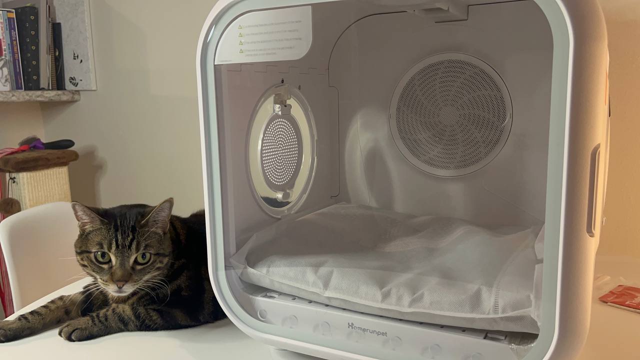 My cat is used to this pet dryer