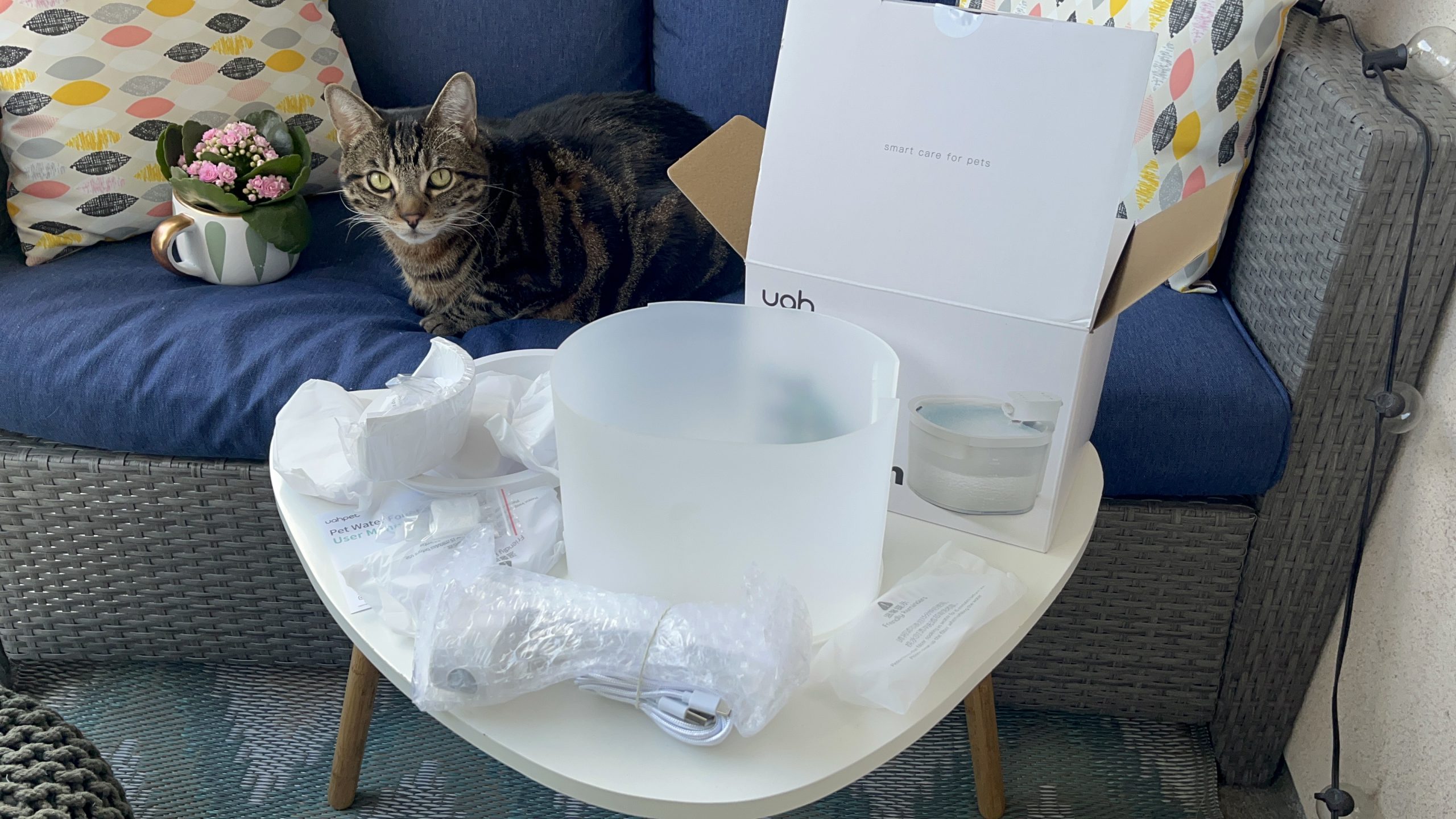 Unpacking Uahpet Automatic Fountain