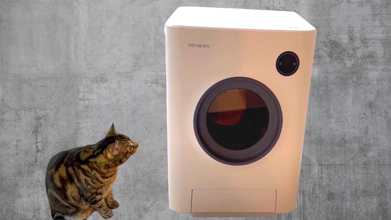 Instachew cat liiter box design