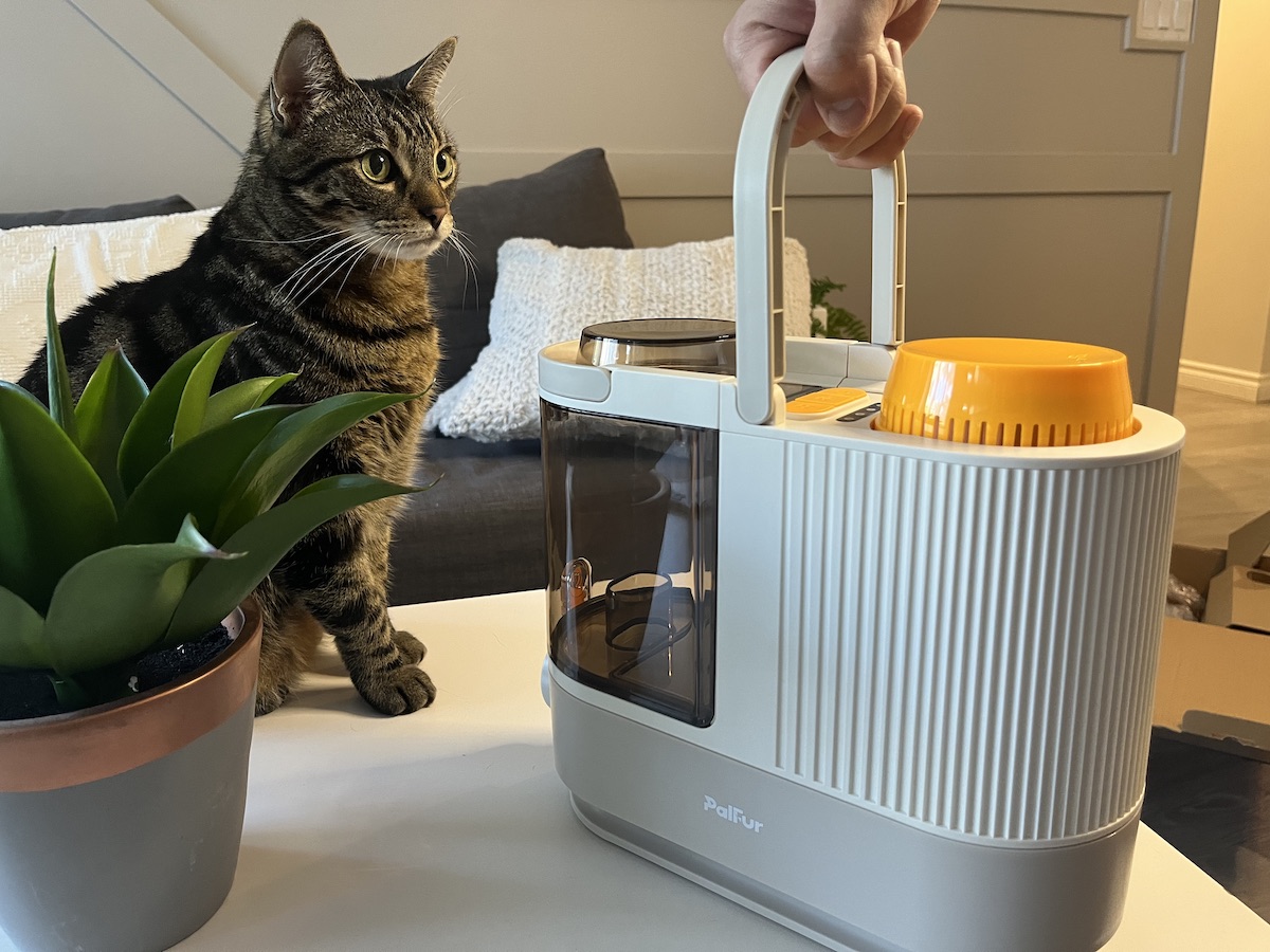 My cat with PalFur Grooming Vacuum major block with my pet looking at it