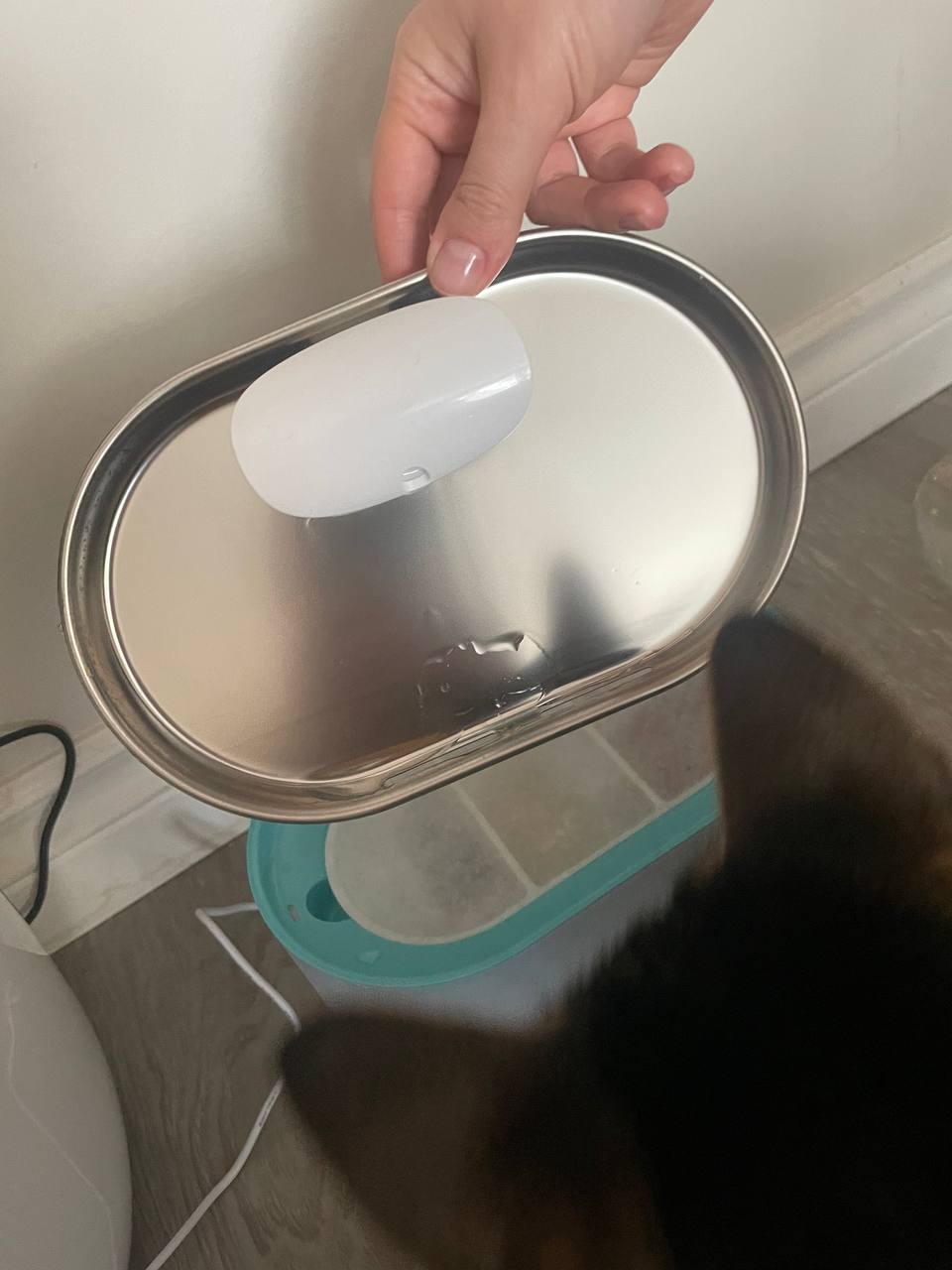 Metal material of Petlibro Cat Water Fountain