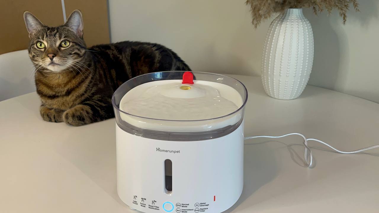 Beatiful design of Homerunpet Cat Water Fountain