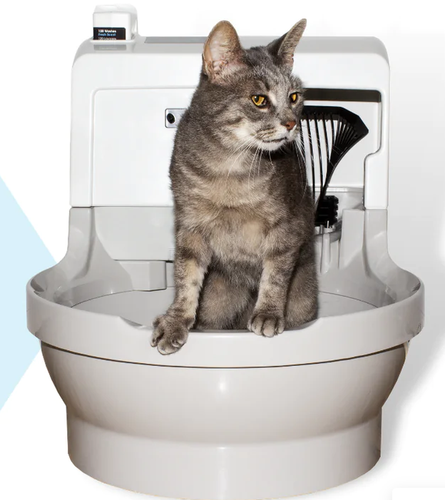 CatGenie A.I