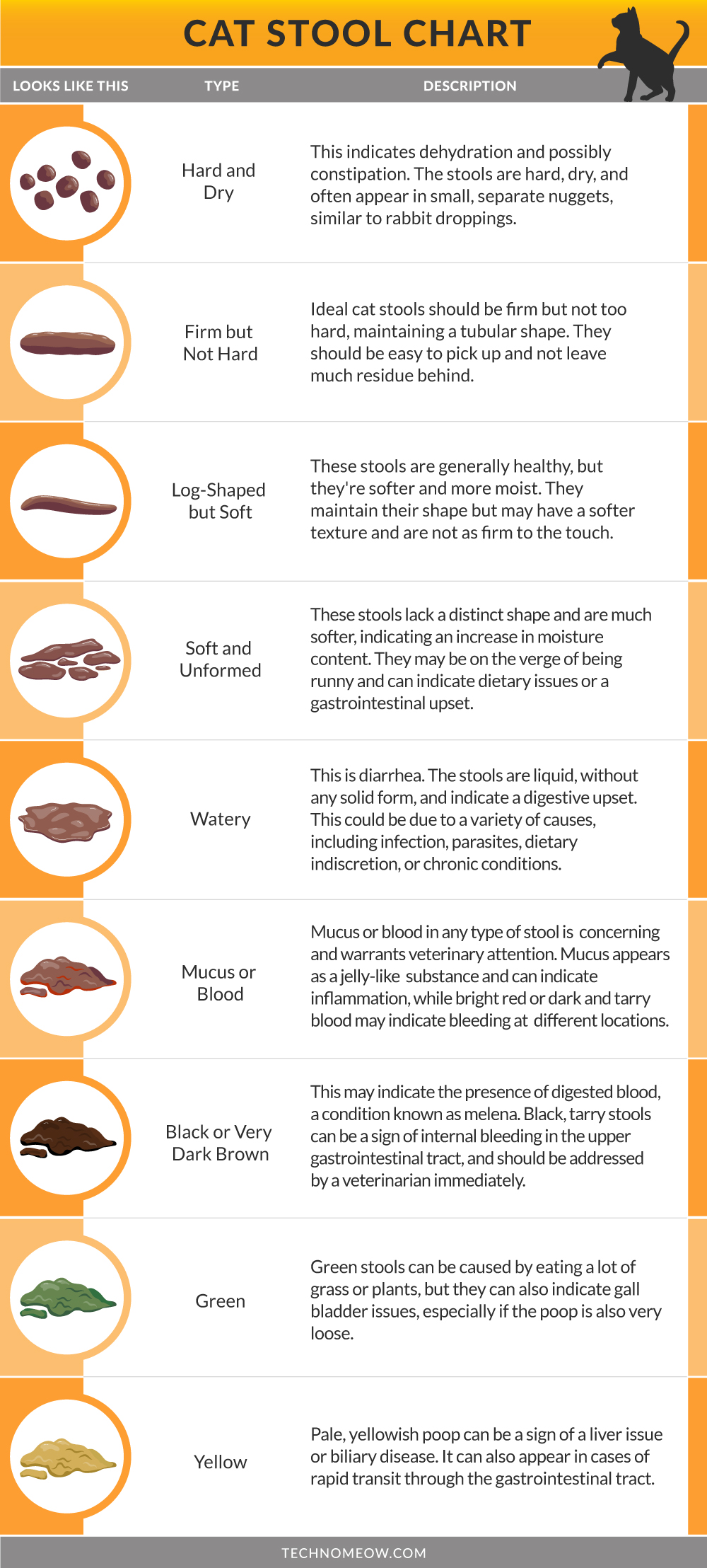 Cat poop - Cat stool chart