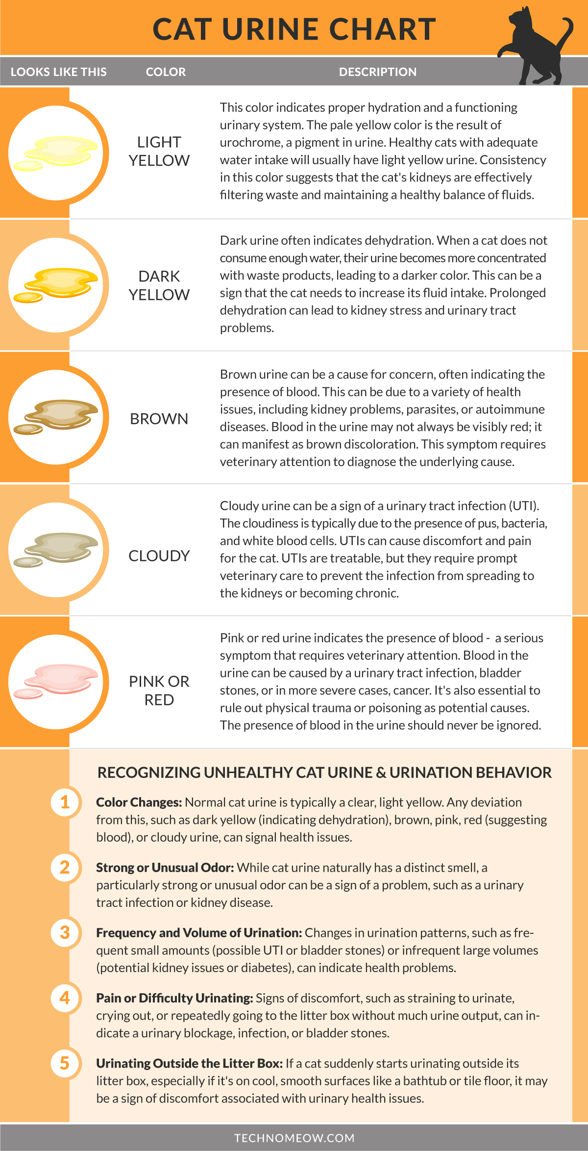 Why is my cat peeing everywhere - cat urine chart
