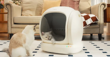 UBPet C20: Smart & Spacious Cat Litter Box