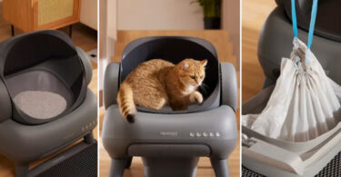 Neakasa M1: Open-Top Self-Cleaning Cat Litter Box