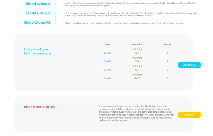 Basepaws Cat DNA Test Review - Cat's blood type