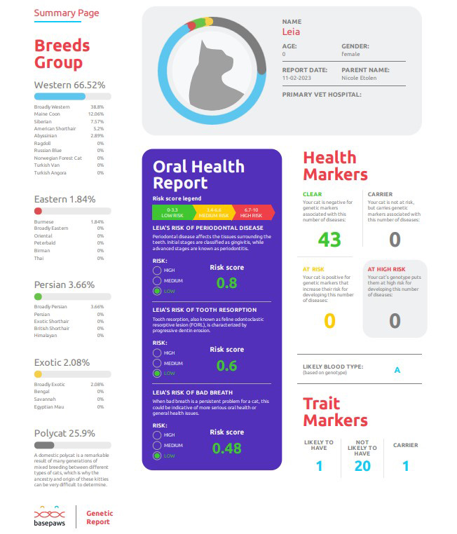 Basepaws Cat DNA Test Review Main summary Page