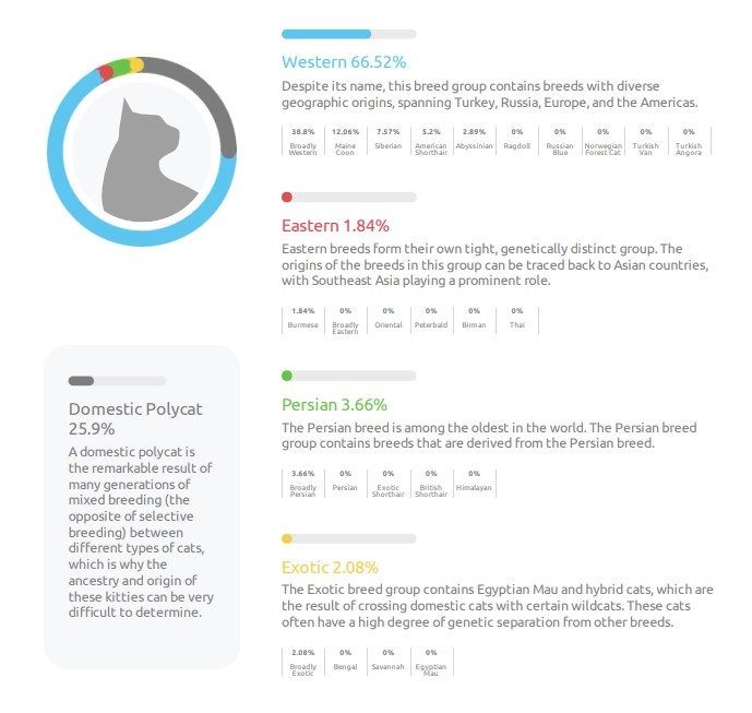 Basepaws Cat DNA Test Review - Breed Analysis