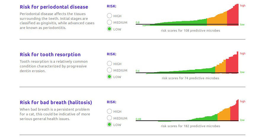 Basepaws Cat DNA Test Review - dental health markers